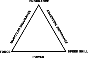 friel triangle