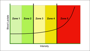 heart rate zones